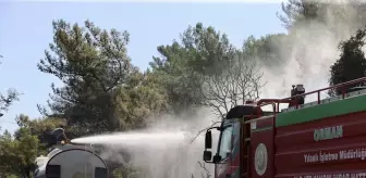 Muğla Ortaca'da Orman Yangını Kontrol Altına Alındı