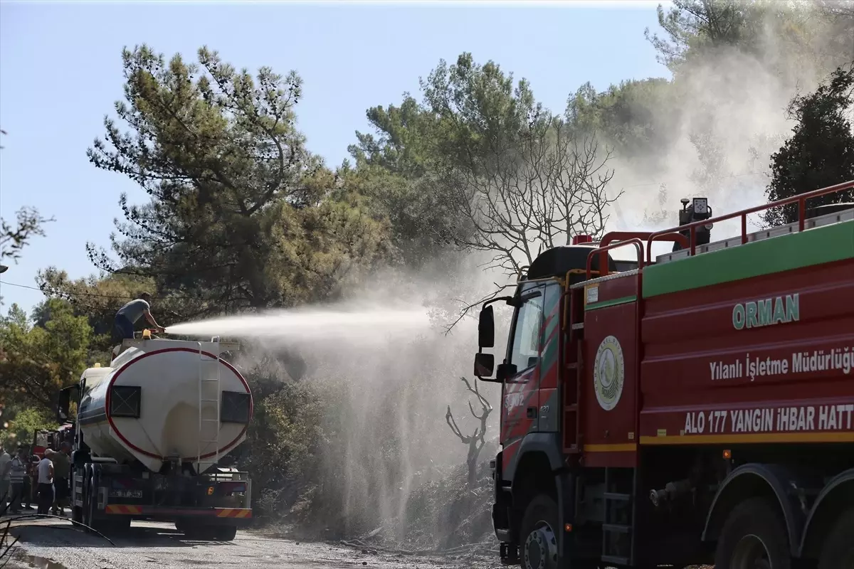 Muğla Ortaca'da Orman Yangını Kontrol Altına Alındı