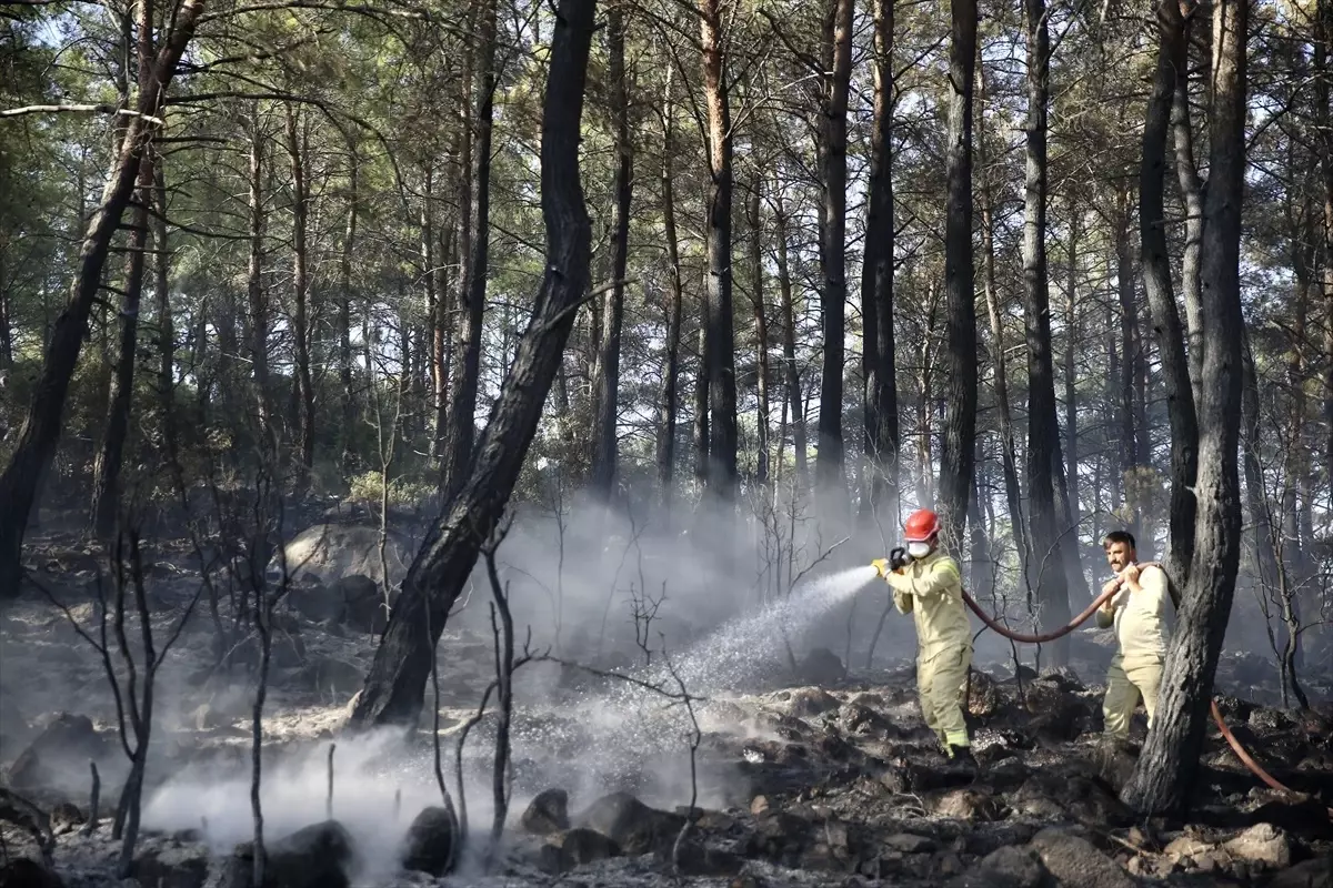 Fethiye'de Orman Yangını Kontrol Altına Alındı