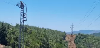Marmaris'te Orman Yangını Büyümeden Söndürüldü