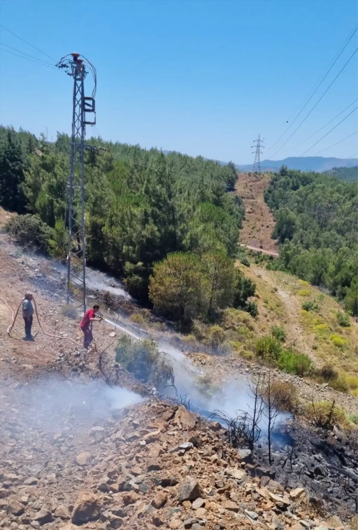 Marmaris'te Orman Yangını Büyümeden Söndürüldü