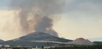 Muğla Yatağan'da Orman Yangınına Müdahale Başladı