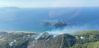 Muğla'da Orman Yangınına Müdahale Başladı