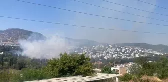 Muğla'da Çıkan Yangınlar Kontrol Altına Alındı