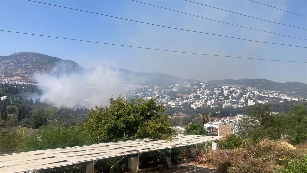 Muğla'da Çıkan Yangınlar Kontrol Altına Alındı