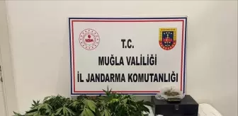 Datça'da Uyuşturucu Operasyonu: 2 Gözaltı