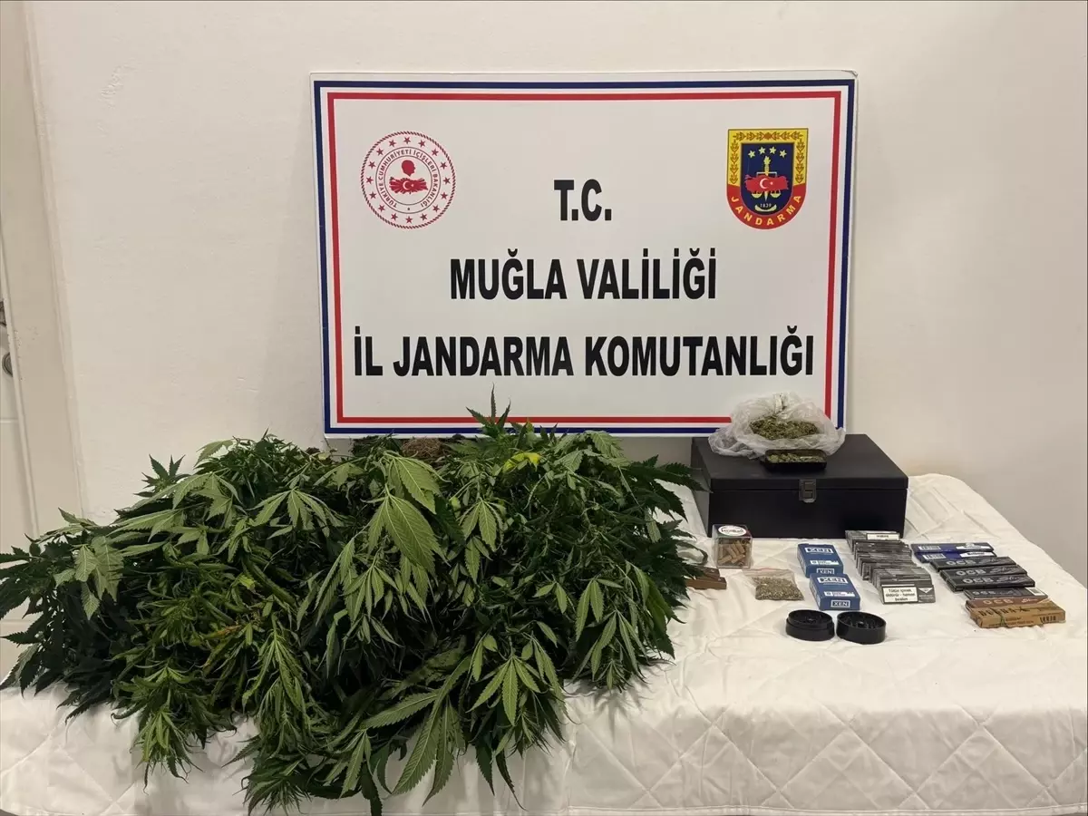 Datça'da Uyuşturucu Operasyonu: 2 Gözaltı