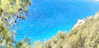 Muğla'da Mahalle Afet Gönüllüleri Yangın Riskine Karşı Devriye Faaliyetlerine Devam Ediyor