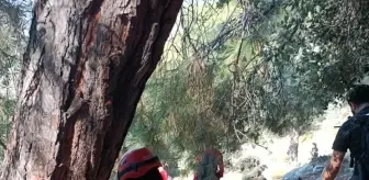 Muğla'da Kayıp İngiliz Turistin Cesedi Bulundu