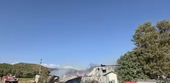 Muğla'da Kereste Deposunda Yangın: Kullanılamaz Hale Geldi
