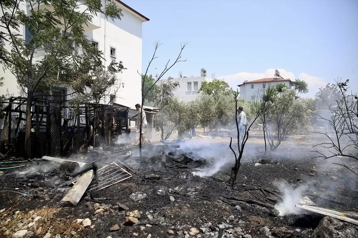 Fethiye'de Yangın Paniği: Zeytinliğe Sıçrayan Alevler Kontrol Altına Alındı