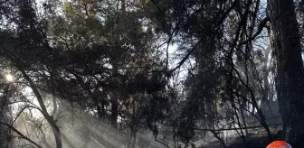 Muğla'da Orman Yangını Kontrol Altına Alındı
