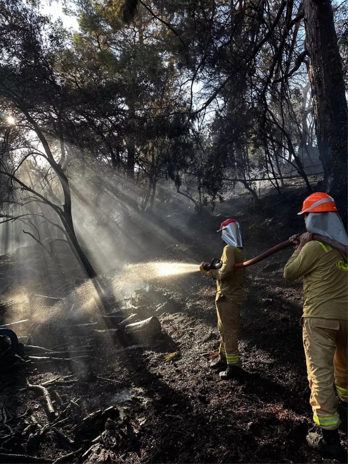 Muğla'da Orman Yangını Kontrol Altına Alındı