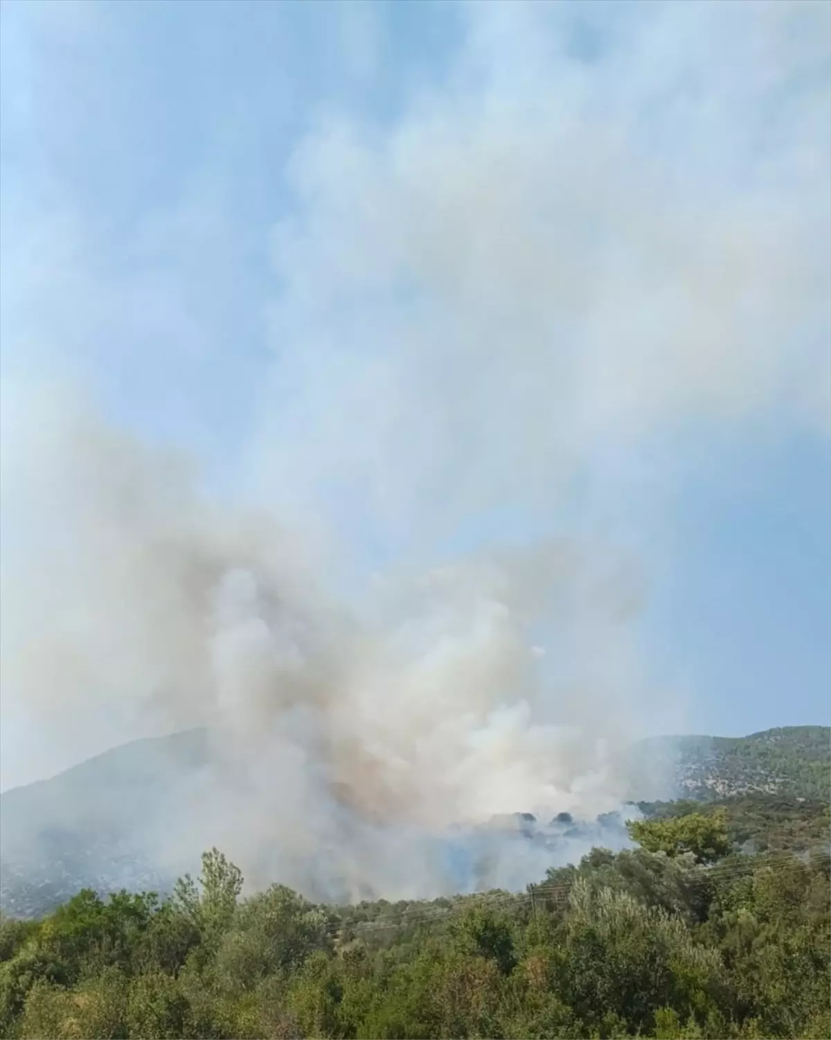 Muğla'da Orman Yangınına Hızla Müdahale