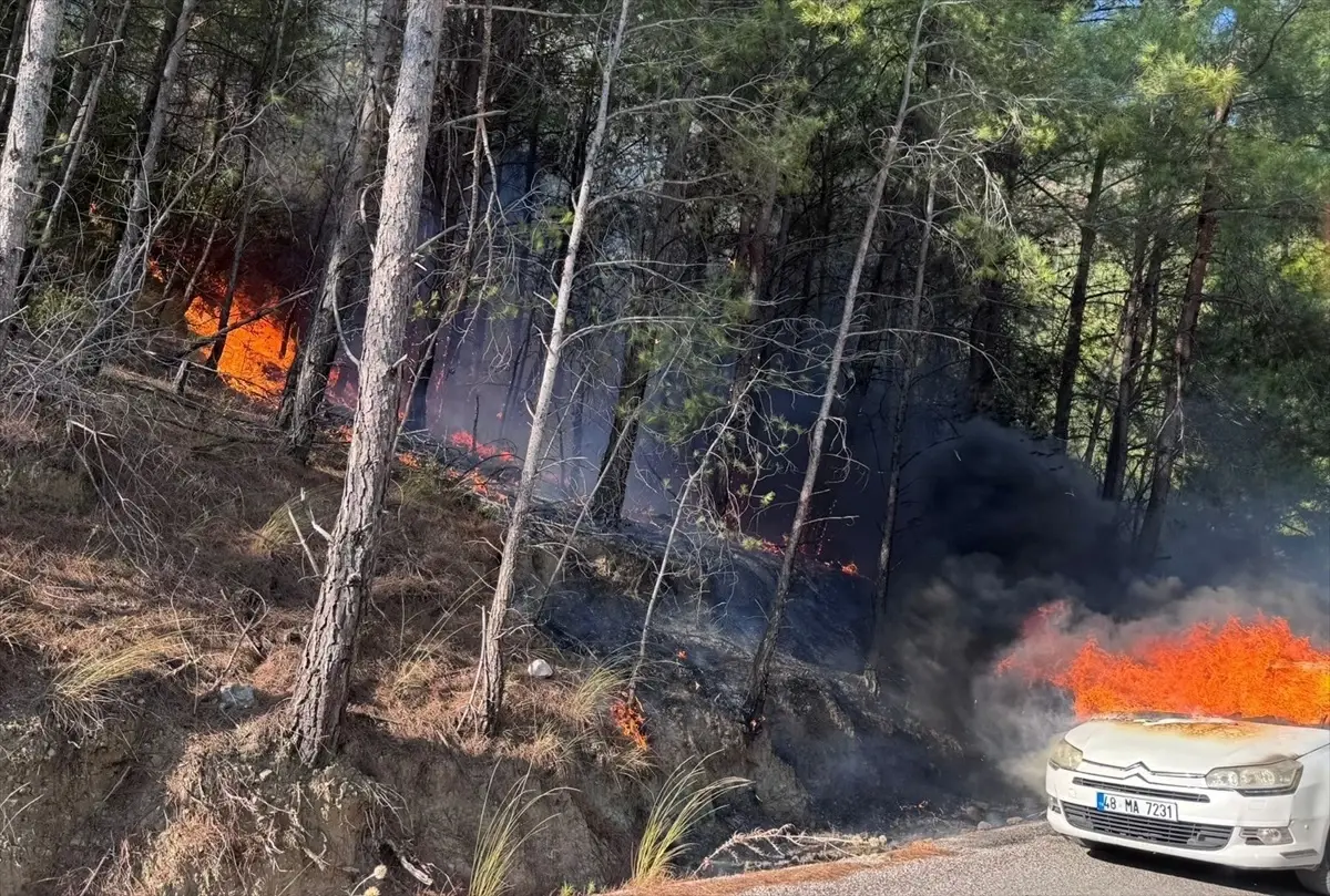 Muğla'da Otomobil Yangını Ormana Sıçramadan Söndürüldü