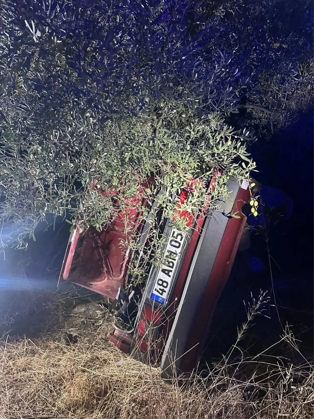 Milas'ta Otomobilin Şarampole Devilmesi Sonucu 2 Kişi Hayatını Kaybetti