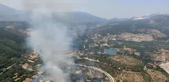 Muğla Yatağan'da Tarım Alanında Yangın