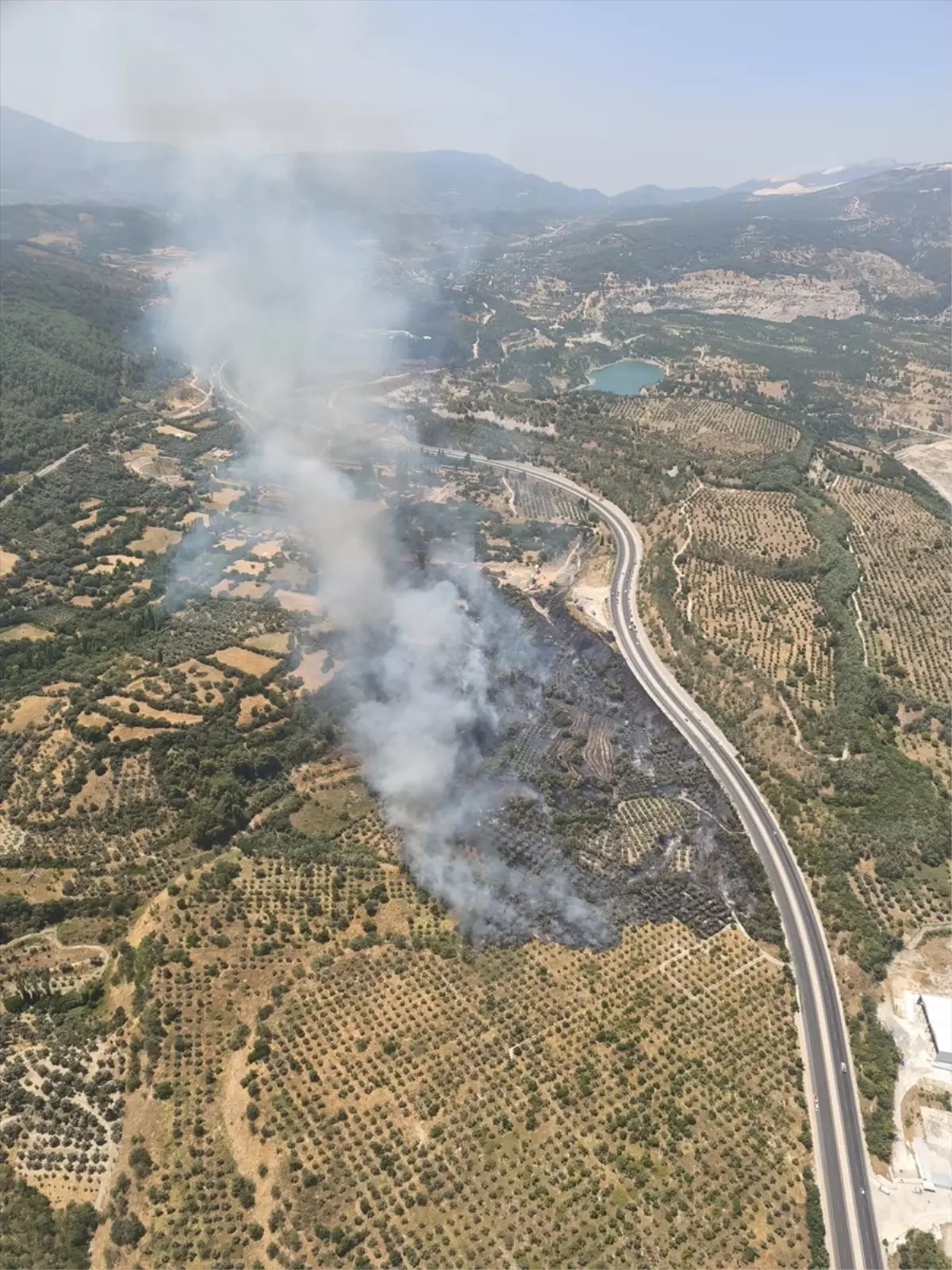 Muğla Yatağan'da Tarım Alanında Yangın