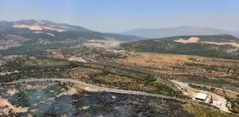 Yatağan'daki Tarım Arazisi Yangını Kontrol Altına Alındı