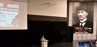 Talasemi Hastalığının Önlenmesi İçin Evlilik Öncesi Tarama Testleri Önemli