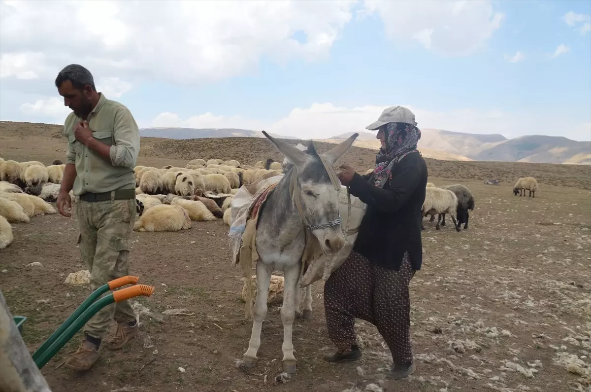 Muş'ta Göçer Kadınların Yaz Mesaisi: Süt Ürünleri Üretimi