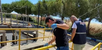 Marmara Denizi'nde Müsilajla Mücadele: 822 Milyon Lira Ceza ve 55 Tesis Kapatıldı