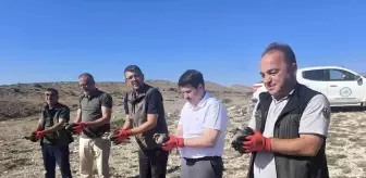 Nallıhan'da 200 Kınalı Keklik Doğaya Salındı