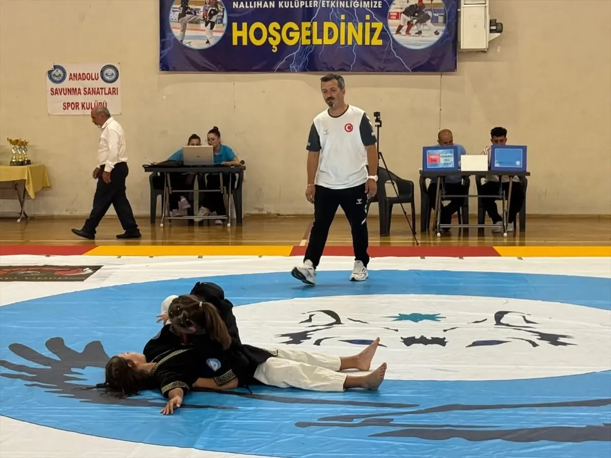 Nallıhan'da Alpagut Turan Dövüş Sanatları Etkinliği Başladı