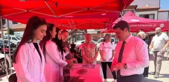 Nallıhan'da Lise Tanıtım Günleri Düzenlendi