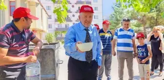 Nallıhan'da Sahipsiz Hayvanlara Destek Etkinliği