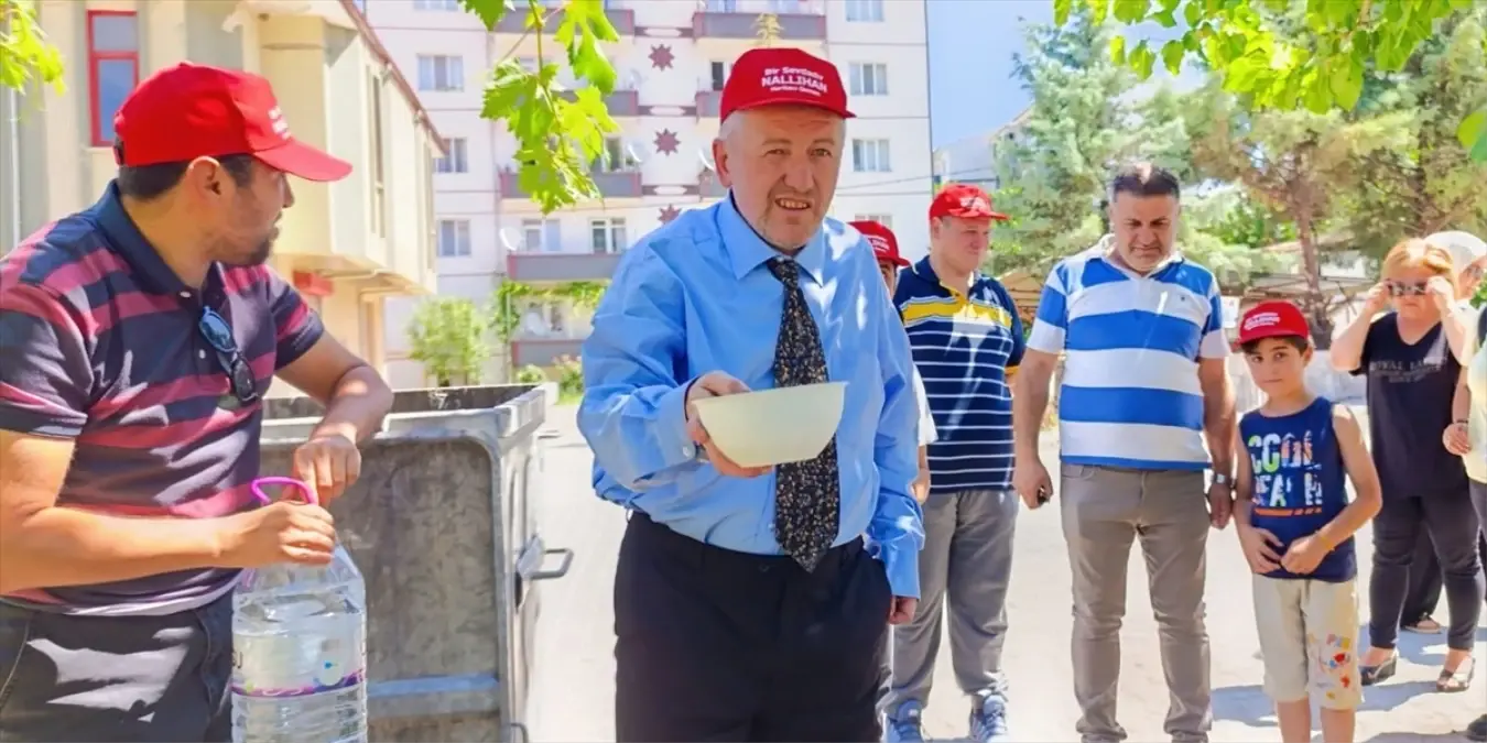 Nallıhan'da Sahipsiz Hayvanlara Destek Etkinliği