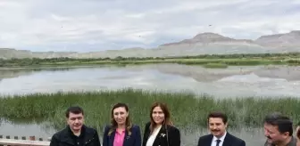 Nallıhan Kuş Cenneti'nde 8. Foto Safari Başladı