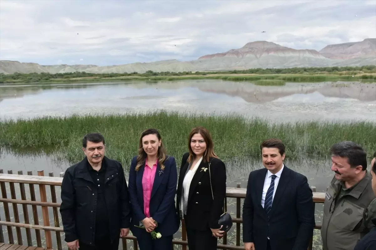 Nallıhan Kuş Cenneti'nde 8. Foto Safari Başladı