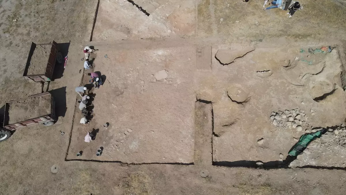 Hititlerin Kutsal Kenti Nerik'ta 3.500 Yıllık Fındık Fosili Bulundu