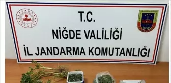 Niğde'de Uyuşturucu Operasyonu: 727 Gram Esrar Ele Geçirildi