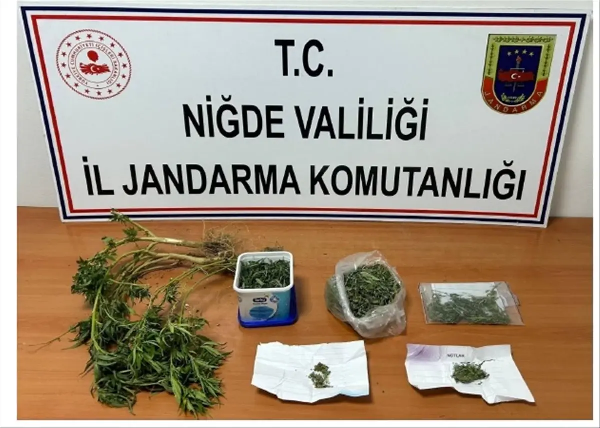 Niğde'de Uyuşturucu Operasyonu: 727 Gram Esrar Ele Geçirildi