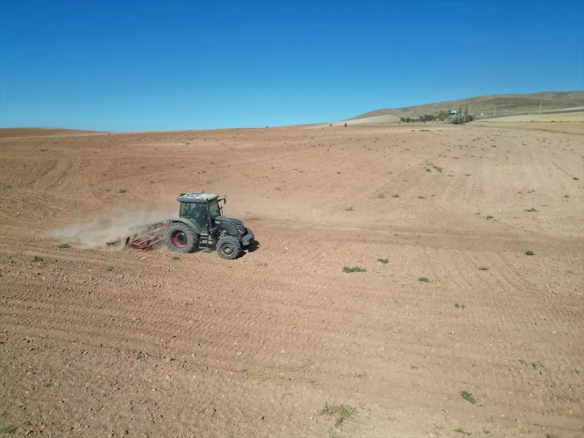 Niğde'de Kuraklık Tarımı Etkiliyor: Çiftçiler Zor Durumda
