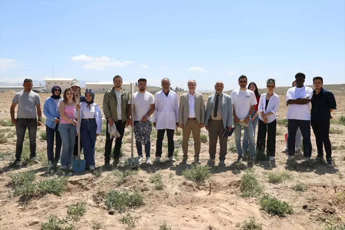 Niğde Üniversitesi'nden Yöresel Fidan Çeşitleri ile Bağ Kurulumu