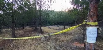 Nurdağı'nda Ormanlık Alanlara Giriş Yasağı