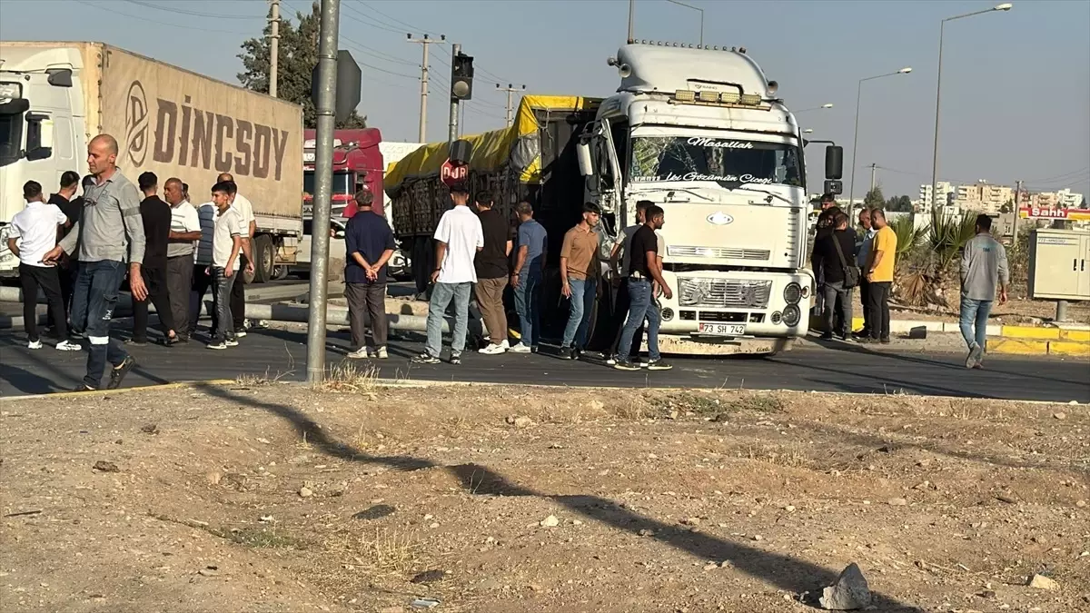 Nusaybin'de Tırın Çarptığı Sinyalizasyon Direği Yolu Kapatınca Araç Kuyruğu Oluştu