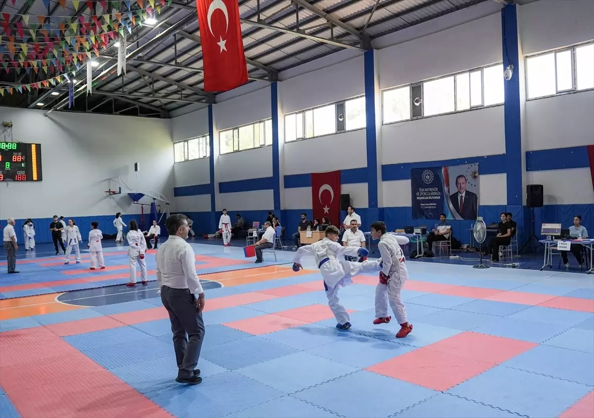 Çermik'te Geleneksel Karate Turnuvası Coşkusu