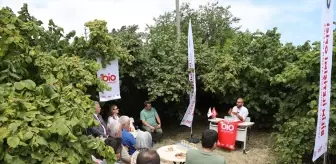 Balık Atıkları Fındık Tarımında Kullanılacak