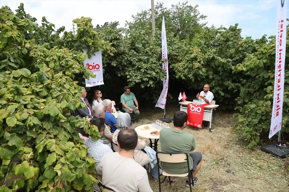 Balık Atıkları Fındık Tarımında Kullanılacak
