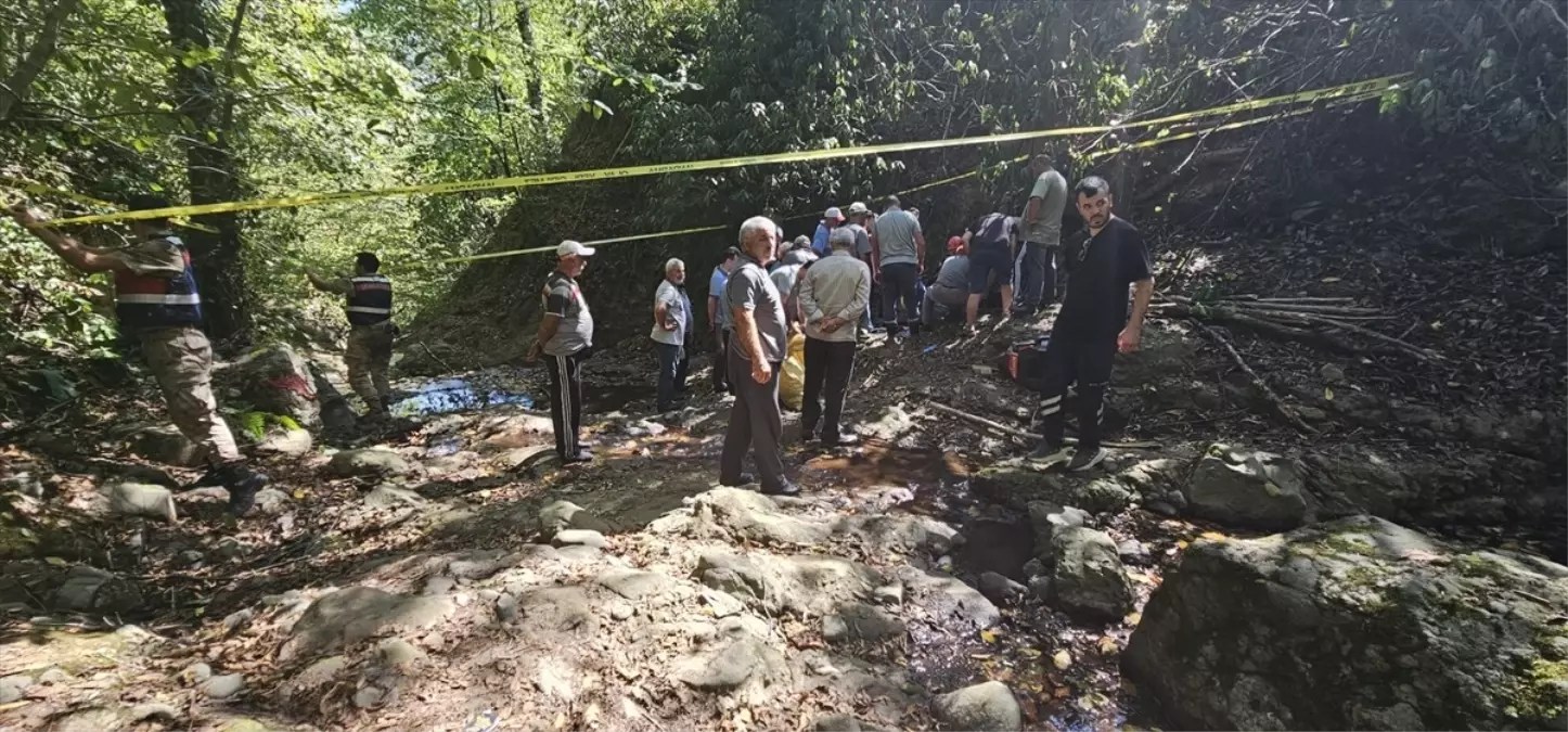 Fındık Toplarken Yamaçtan Düşen Yaşlı Adam Hayatını Kaybetti