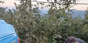 13 Yaşındaki Zihinsel Engelli Çocuk Fındık Bahçesinde Bulundu