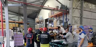Fatsa'da İş Kazası: Bir İşçi Ağır Yaralı