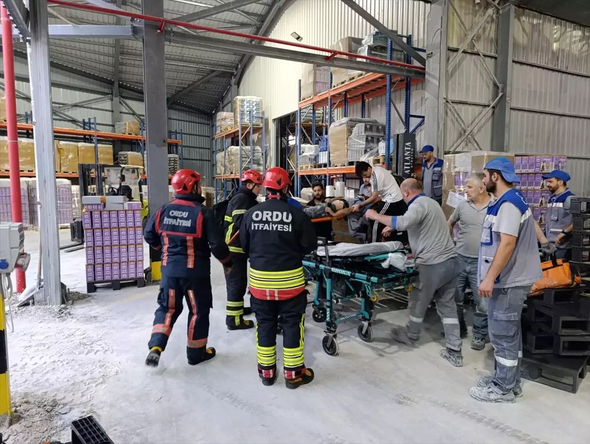Fatsa'da İş Kazası: Bir İşçi Ağır Yaralı