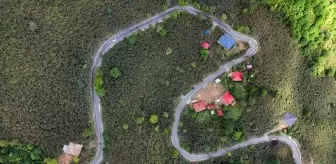 Ünye'de Ağıdere Mahallesi'nde 1,6 Kilometrelik Yol Sıcak Asfaltla Kaplandı