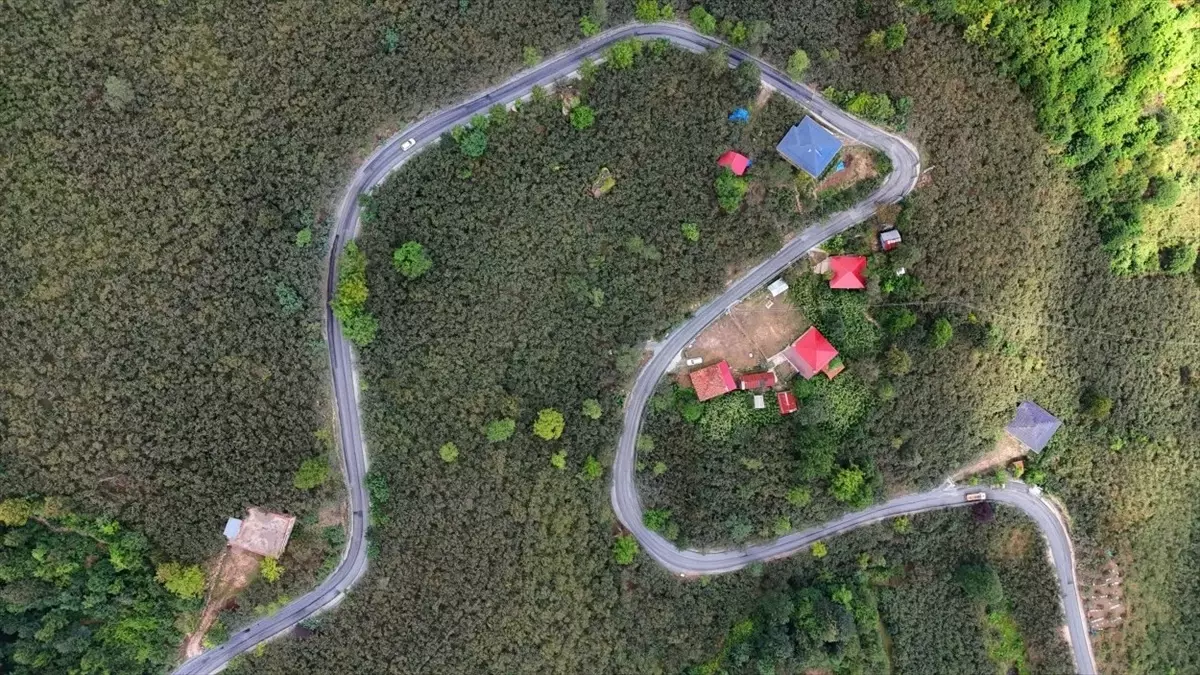 Ünye'de Ağıdere Mahallesi'nde 1,6 Kilometrelik Yol Sıcak Asfaltla Kaplandı