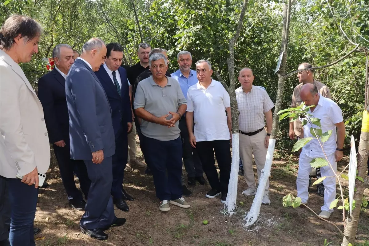 Ordu Valisi Erol, Ünye'de şehit aileleriyle bir araya geldi